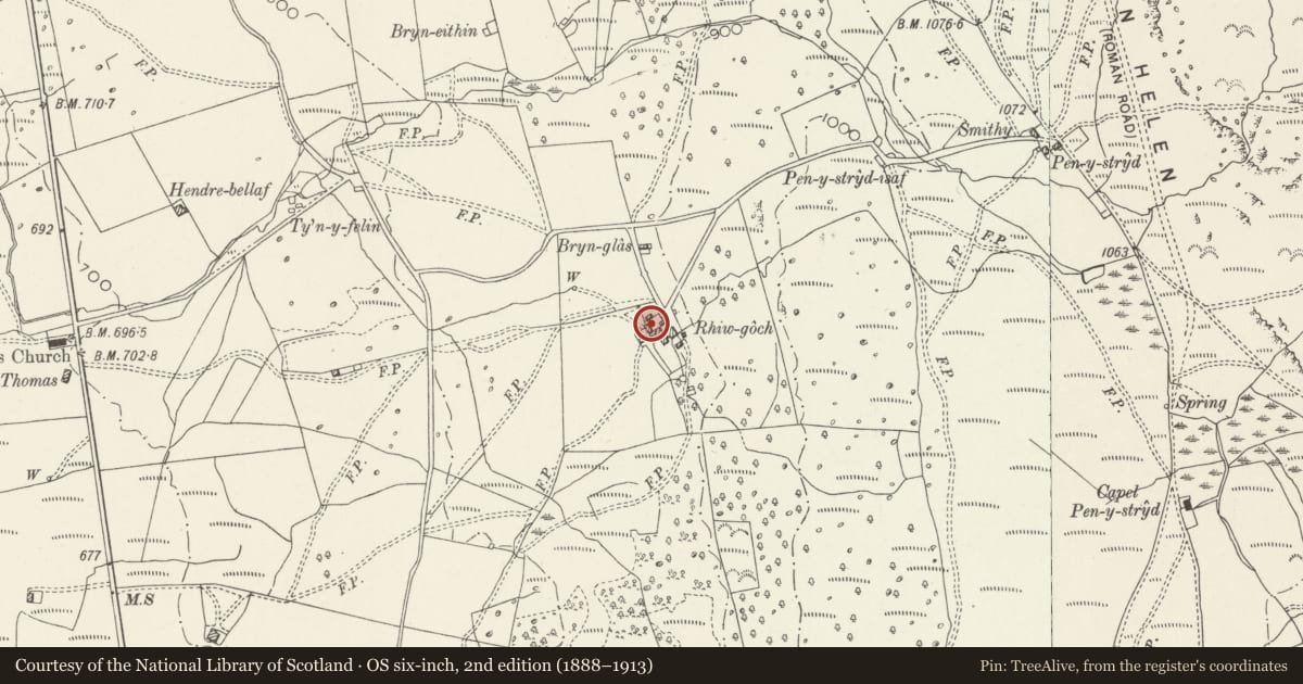 Ordnance Survey six-inch map, 2nd edition (1888–1913) covering the location of Outbuilding at Rhiw-goch, Trawsfynydd, Gwynedd, with a pin at the register's coordinates