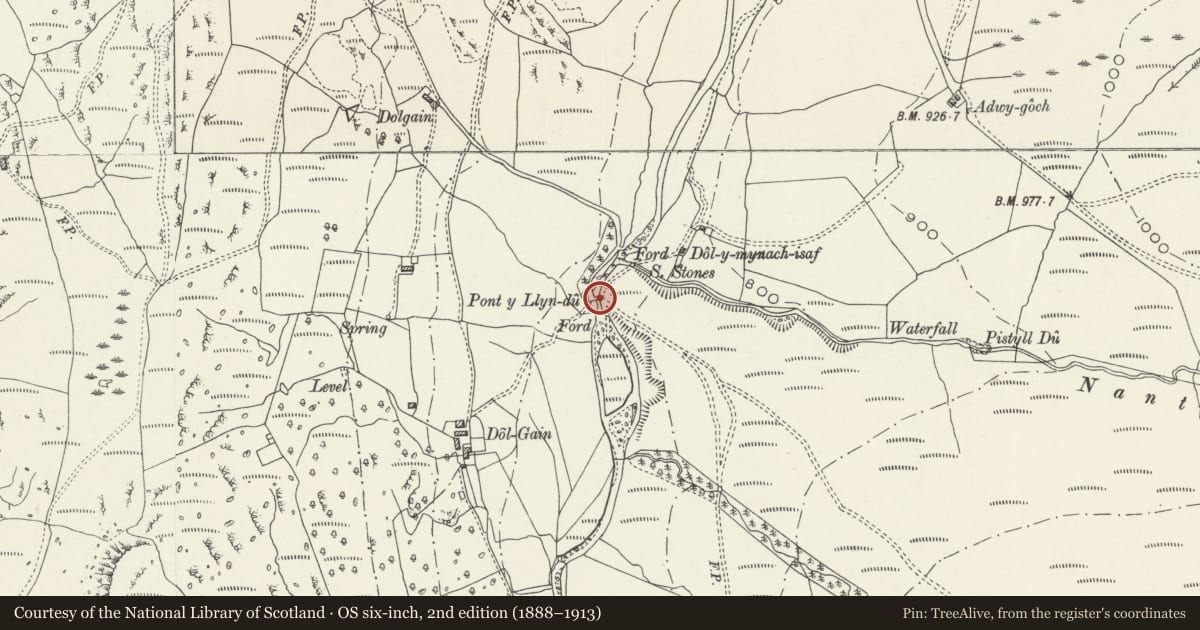 Ordnance Survey six-inch map, 2nd edition (1888–1913) covering the location of Pont y Llyn-du, Trawsfynydd, Gwynedd, with a pin at the register's coordinates