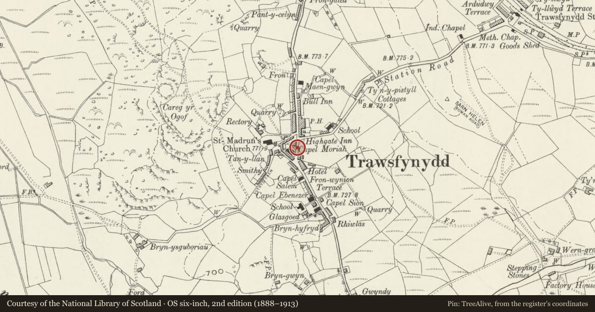 Ordnance Survey six-inch map, 2nd edition (1888–1913) covering the location of Statue of Hedd Wyn, Trawsfynydd, Gwynedd, with a pin at the register's coordinates
