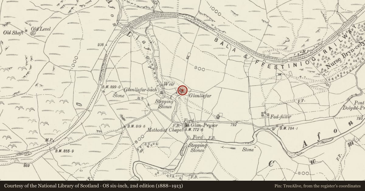 Ordnance Survey six-inch map, 2nd edition (1888–1913) covering the location of Ty Newydd, Trawsfynydd, Gwynedd, with a pin at the register's coordinates