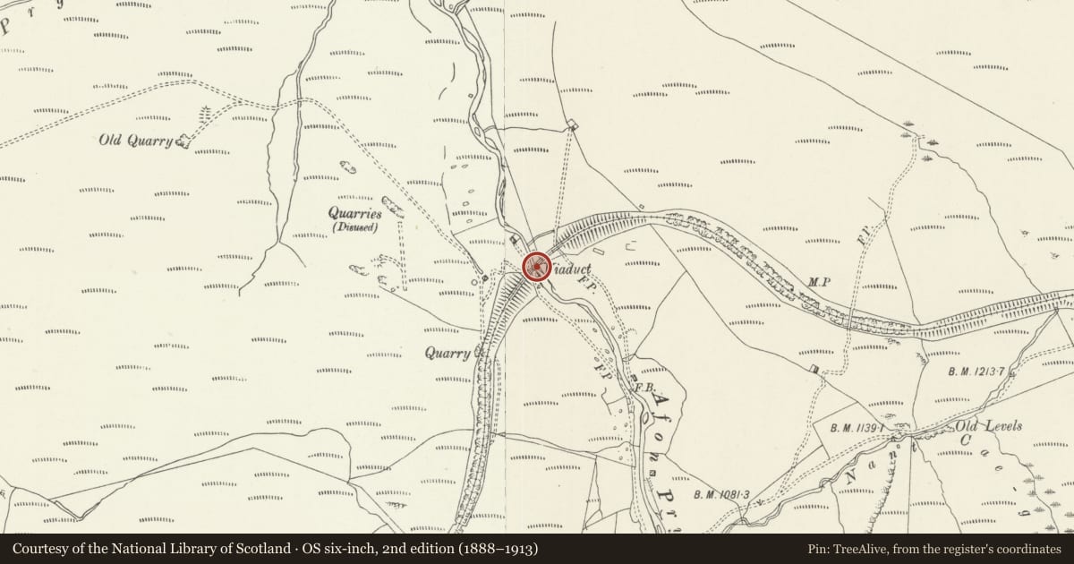Ordnance Survey six-inch map, 2nd edition (1888–1913) covering the location of Viaduct over Nant y Lladron, Trawsfynydd, Gwynedd, with a pin at the register's coordinates