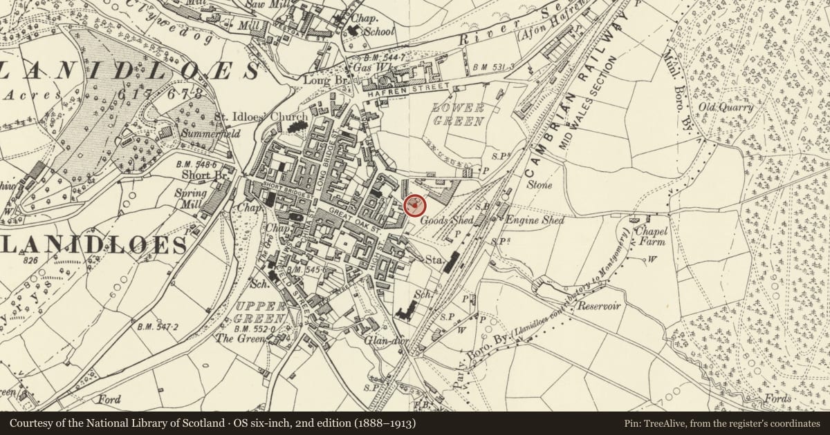 Ordnance Survey six-inch map, 2nd edition (1888–1913) covering the location of Foundry House, Llanidloes, Powys, with a pin at the register's coordinates