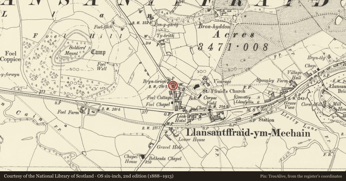 Ordnance Survey six-inch map, 2nd edition (1888–1913) covering the location of Bronwylfa, Llansantffraid, Powys, with a pin at the register's coordinates