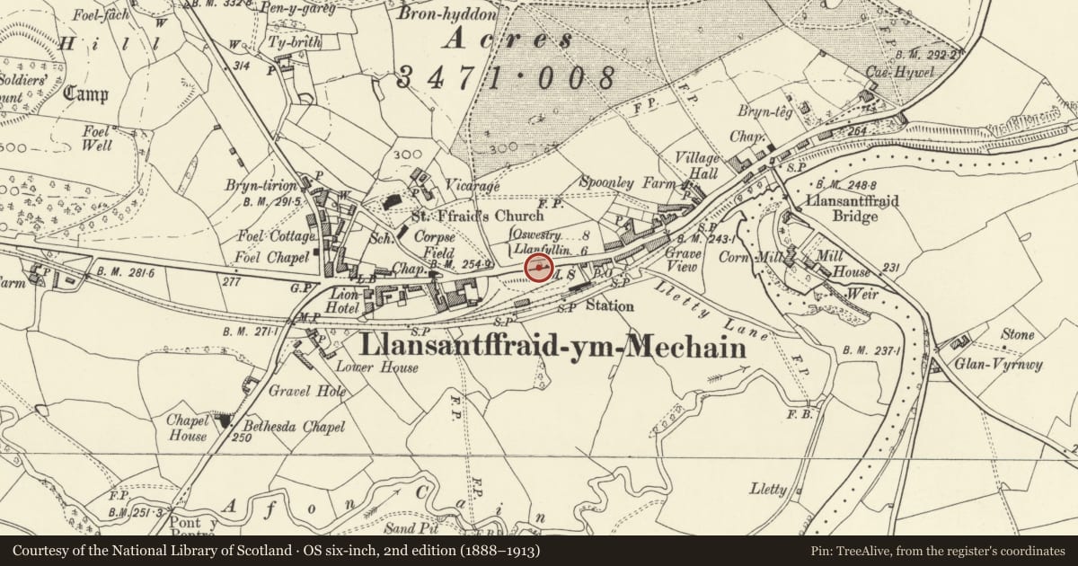 Ordnance Survey six-inch map, 2nd edition (1888–1913) covering the location of Cast-iron milepost at Queen's Oak, Llansantffraid, Powys, with a pin at the register's coordinates