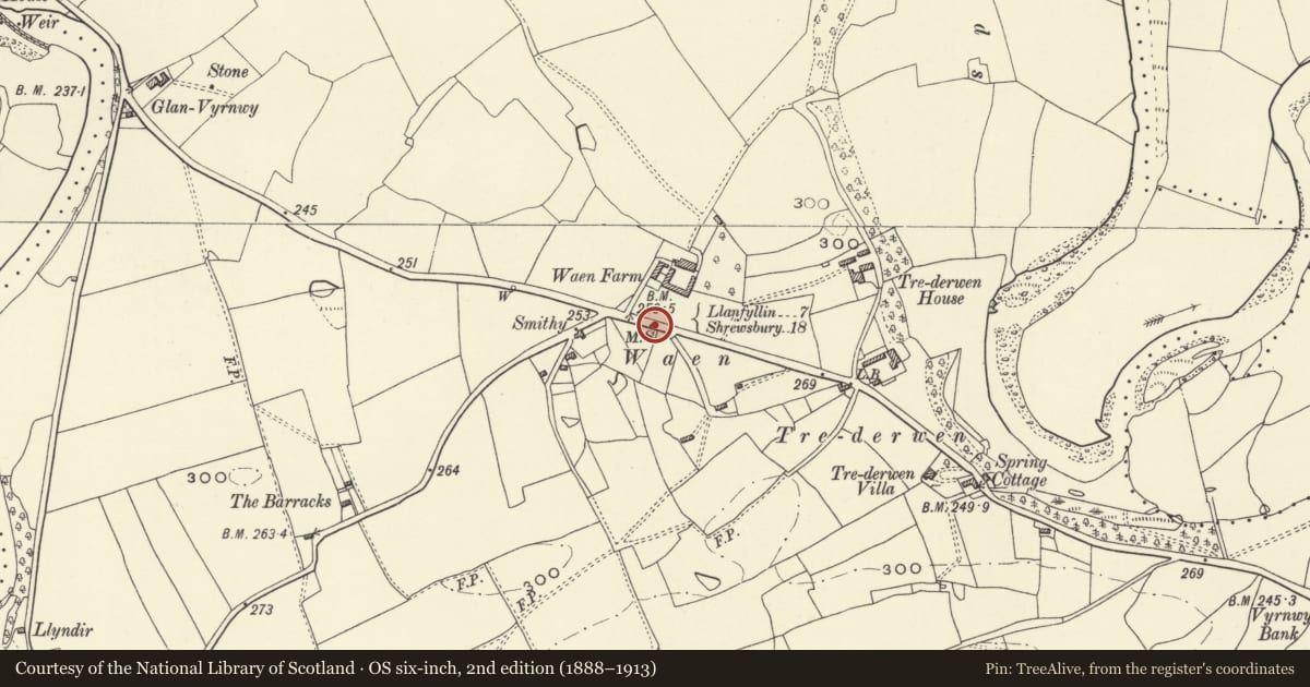 Ordnance Survey six-inch map, 2nd edition (1888–1913) covering the location of Cast-iron Milepost at Waen, Llansantffraid, Powys, with a pin at the register's coordinates