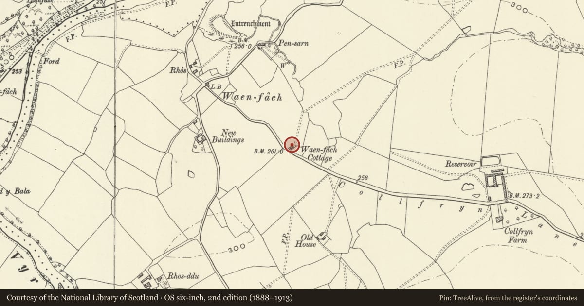 Ordnance Survey six-inch map, 2nd edition (1888–1913) covering the location of Castle Cottage, Llansantffraid, Powys, with a pin at the register's coordinates