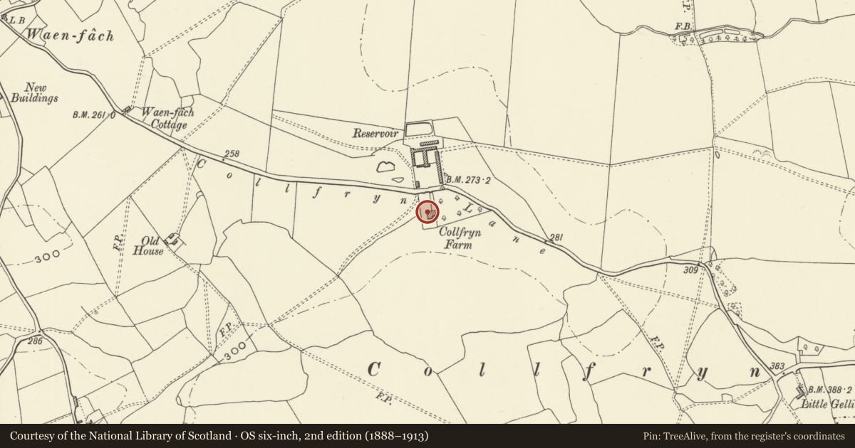 Ordnance Survey six-inch map, 2nd edition (1888–1913) covering the location of Colfryn Farmhouse, Llansantffraid, Powys, with a pin at the register's coordinates