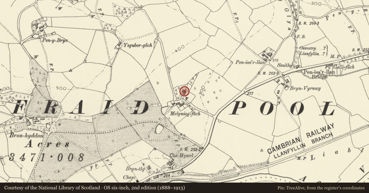 Ordnance Survey six-inch map, 2nd edition (1888–1913) covering the location of Melyniog-fach, Llansantffraid, Powys, with a pin at the register's coordinates