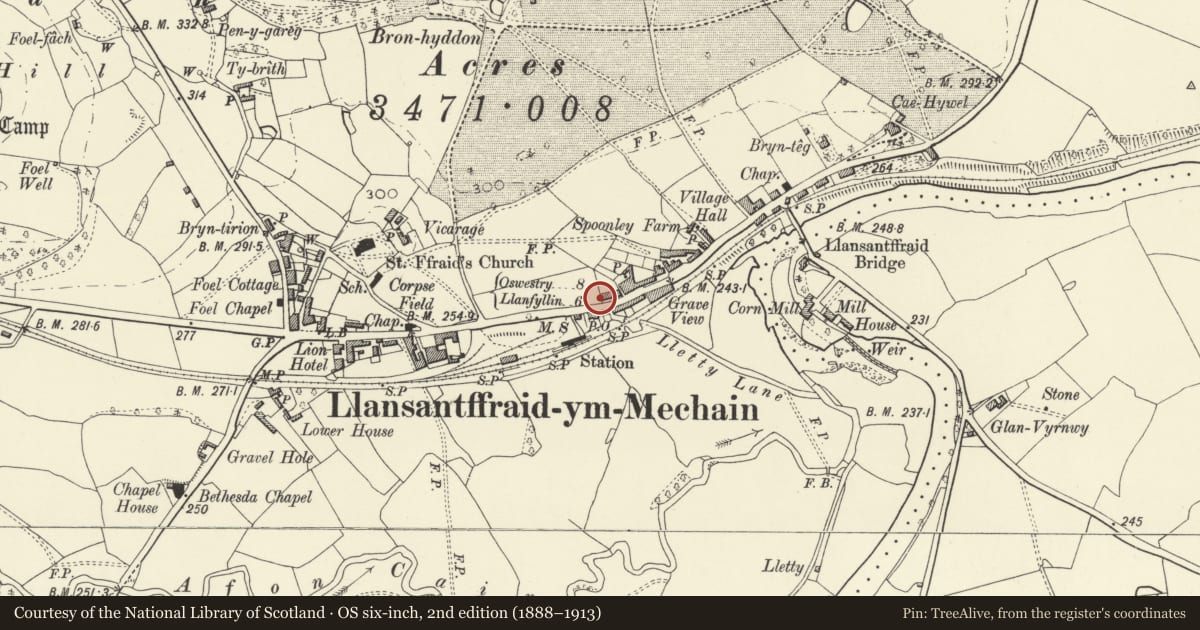Ordnance Survey six-inch map, 2nd edition (1888–1913) covering the location of No. 1, Victoria Terrace, with walled and railed forecourt, Llansantffraid, Powys, with a pin at the register's coordinates