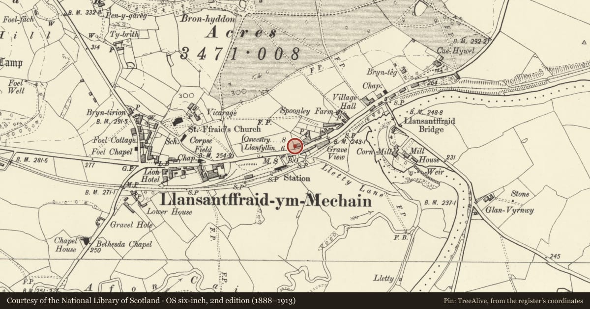 Ordnance Survey six-inch map, 2nd edition (1888–1913) covering the location of No. 2, Victoria Terrace, with walled and railed forecourt, Llansantffraid, Powys, with a pin at the register's coordinates