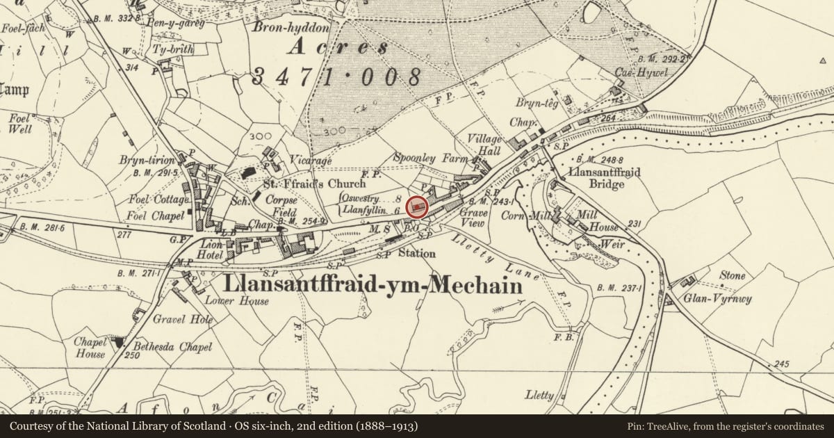 Ordnance Survey six-inch map, 2nd edition (1888–1913) covering the location of No. 3, Victoria Terrace, with walled and railed forecourt, Llansantffraid, Powys, with a pin at the register's coordinates