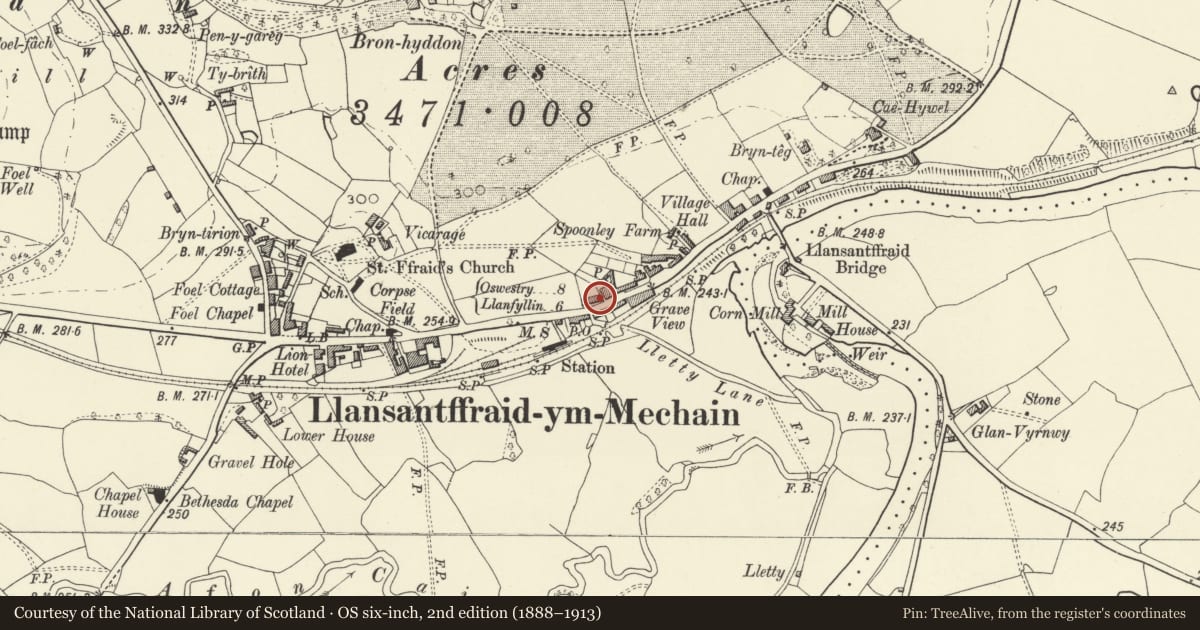 Ordnance Survey six-inch map, 2nd edition (1888–1913) covering the location of No. 7, Victoria Terrace, with walled and railed forecourt, Llansantffraid, Powys, with a pin at the register's coordinates