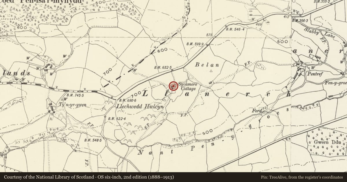 Ordnance Survey six-inch map, 2nd edition (1888–1913) covering the location of Outbuilding at Sycamore Cottage, Llansantffraid, Powys, with a pin at the register's coordinates