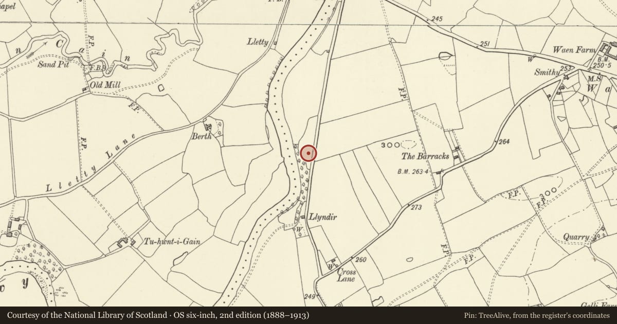 Ordnance Survey six-inch map, 2nd edition (1888–1913) covering the location of Plas Derwen, Llansantffraid, Powys, with a pin at the register's coordinates