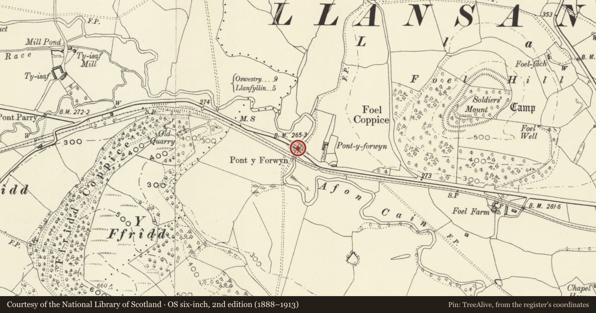 Ordnance Survey six-inch map, 2nd edition (1888–1913) covering the location of Pont y Forwyn, Llansantffraid, Powys, with a pin at the register's coordinates