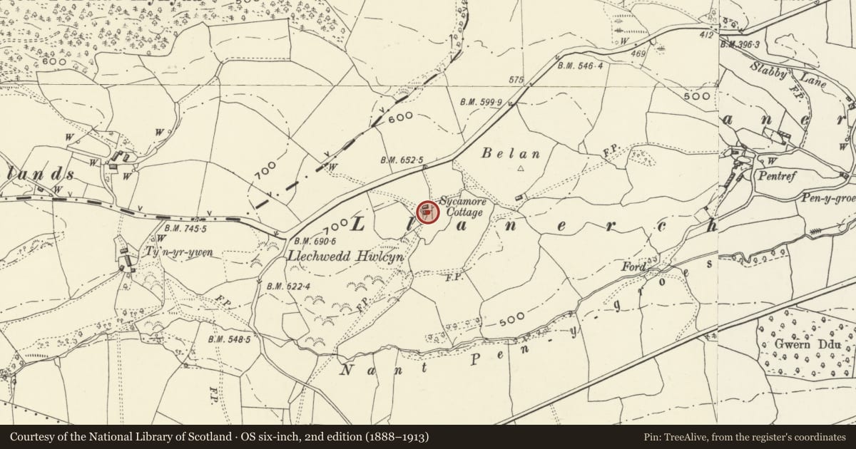 Ordnance Survey six-inch map, 2nd edition (1888–1913) covering the location of Sycamore Cottage, Llansantffraid, Powys, with a pin at the register's coordinates