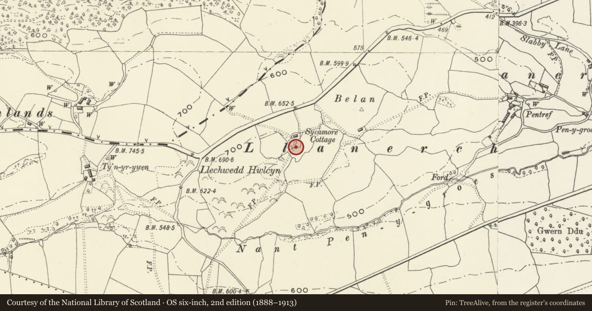Ordnance Survey six-inch map, 2nd edition (1888–1913) covering the location of Ty-bach at Sycamore Cottage, Llansantffraid, Powys, with a pin at the register's coordinates