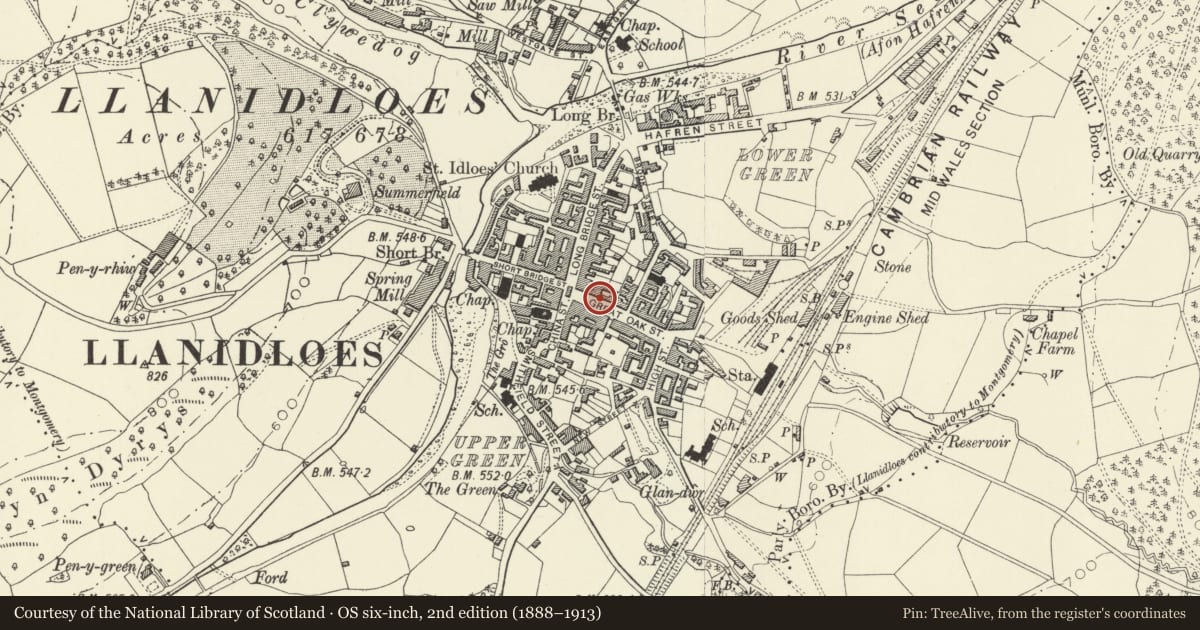Ordnance Survey six-inch map, 2nd edition (1888–1913) covering the location of Lampstandard outside the Town Hall, Llanidloes, Powys, with a pin at the register's coordinates