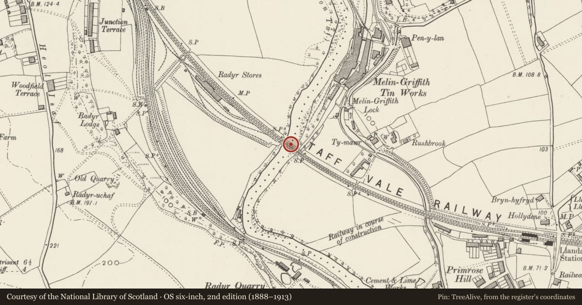 Ordnance Survey six-inch map, 2nd edition (1888–1913) covering the location of Afon Taff Viaduct, Llandaff North, Cardiff, with a pin at the register's coordinates