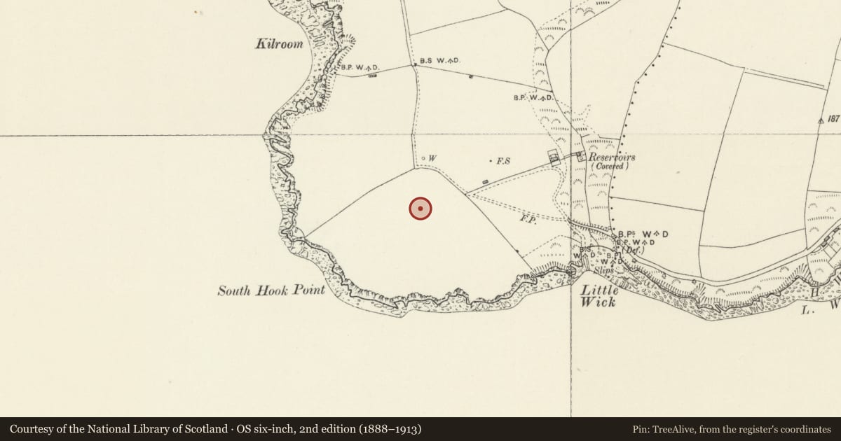 Ordnance Survey six-inch map, 2nd edition (1888–1913) covering the location of The defensible barracks at South Hook Fort, Herbrandston, Pembrokeshire, with a pin at the register's coordinates