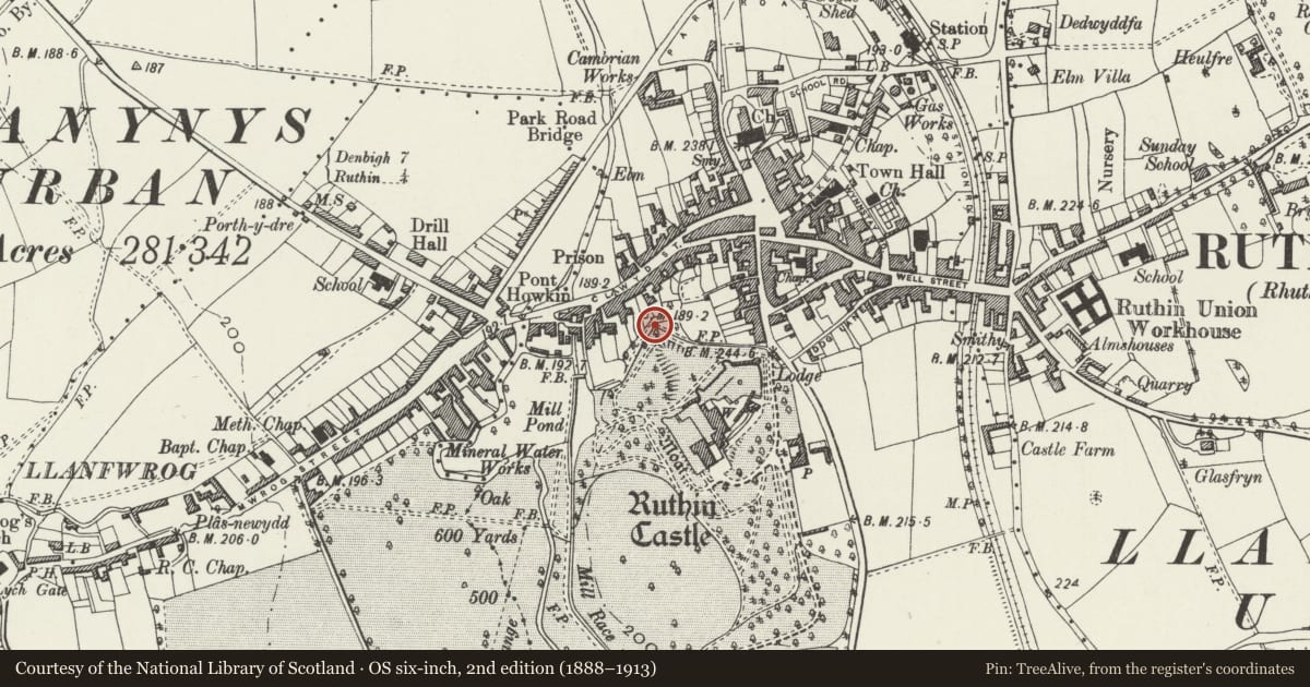 Ordnance Survey six-inch map, 2nd edition (1888–1913) covering the location of N.Boundary Wall to grounds of Ruthin Castle Hotel, Denbighshire, with a pin at the register's coordinates