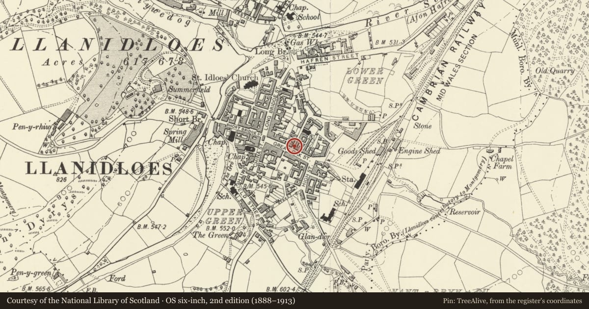 Ordnance Survey six-inch map, 2nd edition (1888–1913) covering the location of Maesbury House, Llanidloes, Powys, with a pin at the register's coordinates