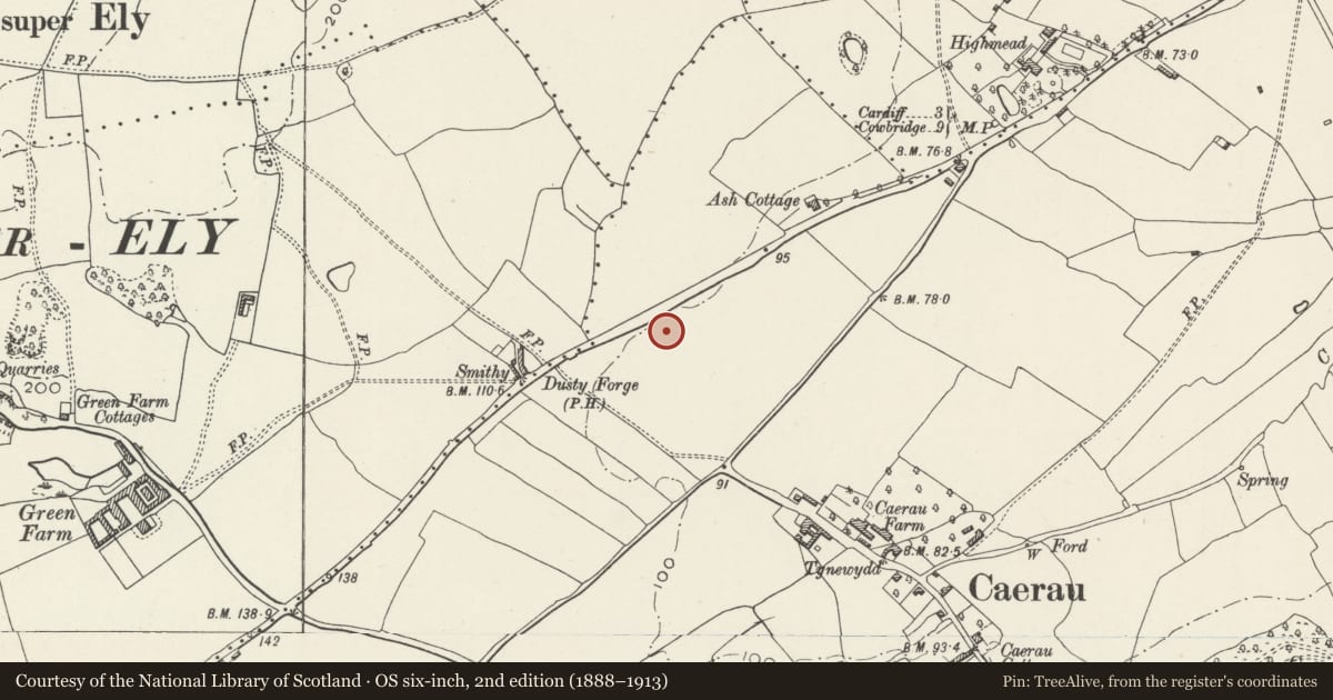 Ordnance Survey six-inch map, 2nd edition (1888–1913) covering the location of Catholic Church of St Francis of Assisi, Caerau, Cardiff, with a pin at the register's coordinates