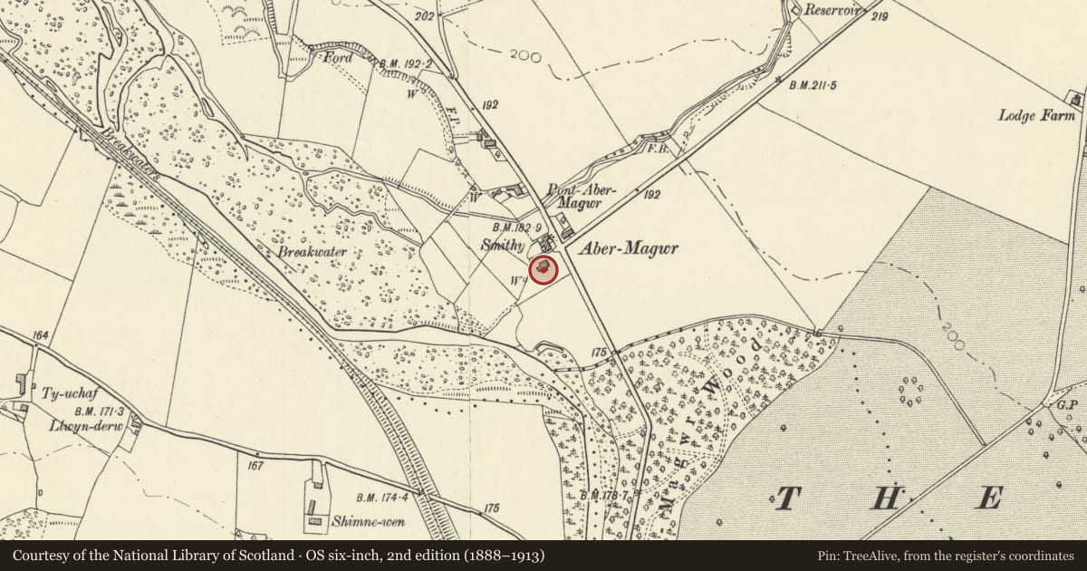 Ordnance Survey six-inch map, 2nd edition (1888–1913) covering the location of Abermagwr Sawmill, Trawsgoed, Ceredigion, with a pin at the register's coordinates
