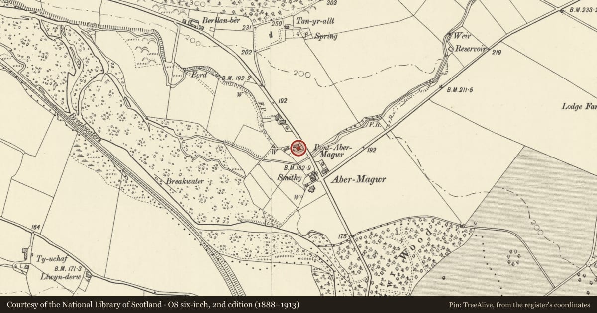 Ordnance Survey six-inch map, 2nd edition (1888–1913) covering the location of Abermagwr, former shop, and walls with railings, Trawsgoed, Ceredigion, with a pin at the register's coordinates