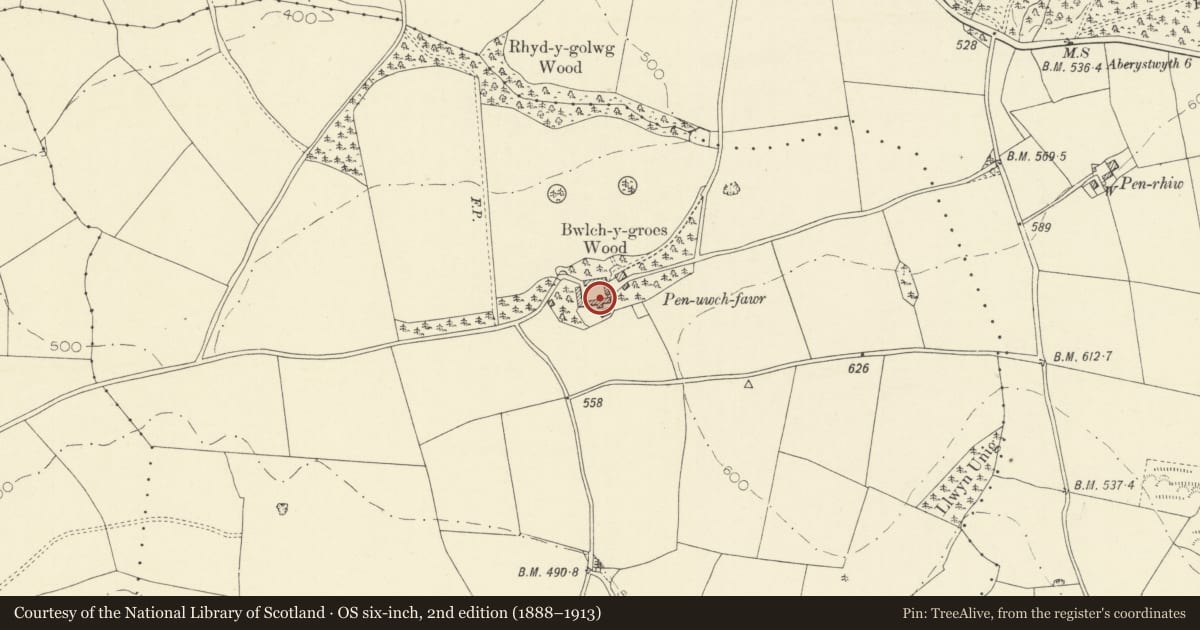 Ordnance Survey six-inch map, 2nd edition (1888–1913) covering the location of Barn range at Penuwch Fawr, Trawsgoed, Ceredigion, with a pin at the register's coordinates