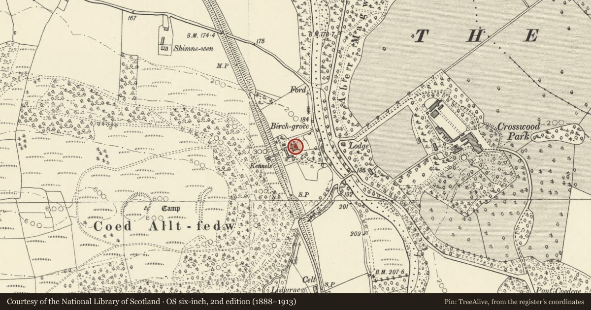 Ordnance Survey six-inch map, 2nd edition (1888–1913) covering the location of Birchgrove, Trawsgoed, Ceredigion, with a pin at the register's coordinates