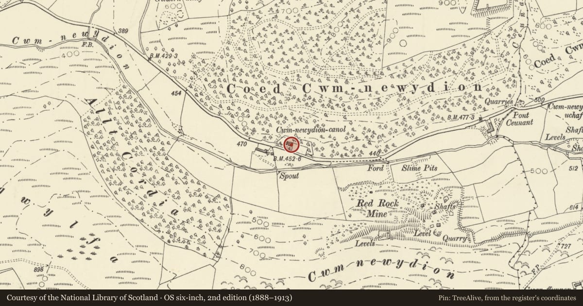 Ordnance Survey six-inch map, 2nd edition (1888–1913) covering the location of Cwmnewydion Ganol, Trawsgoed, Ceredigion, with a pin at the register's coordinates