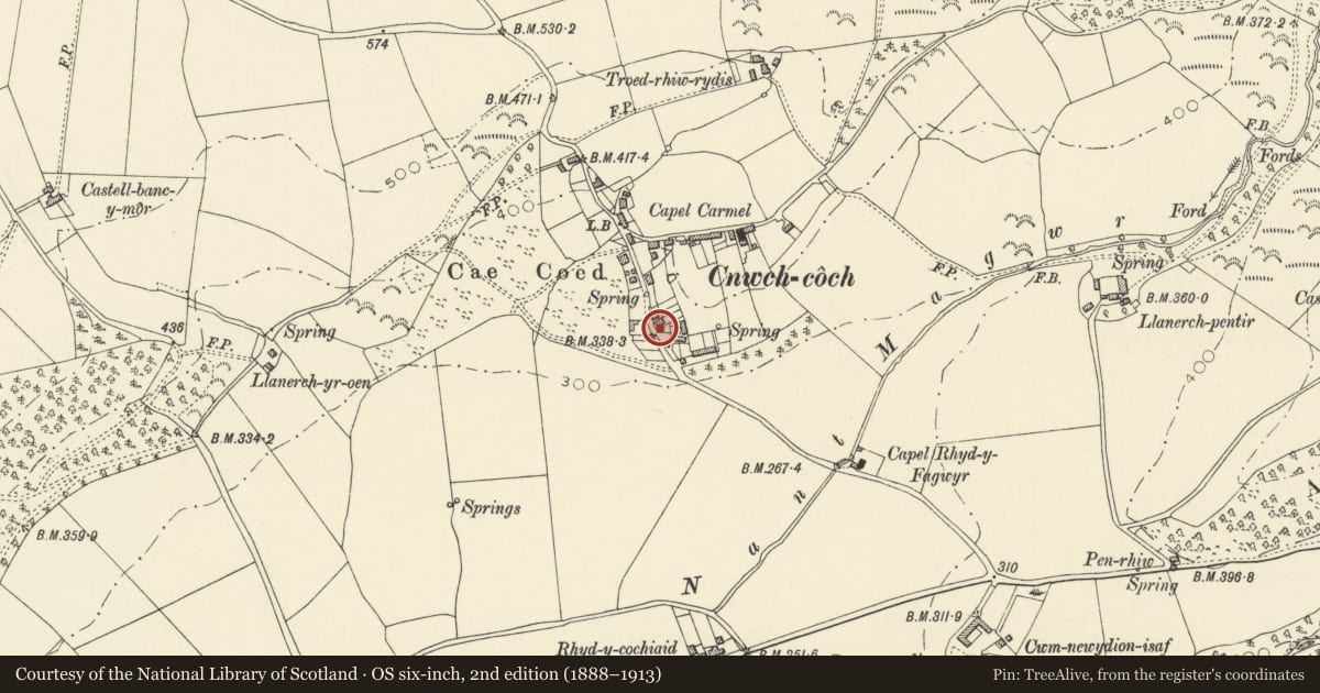 Ordnance Survey six-inch map, 2nd edition (1888–1913) covering the location of Delfryn, Trawsgoed, Ceredigion, with a pin at the register's coordinates