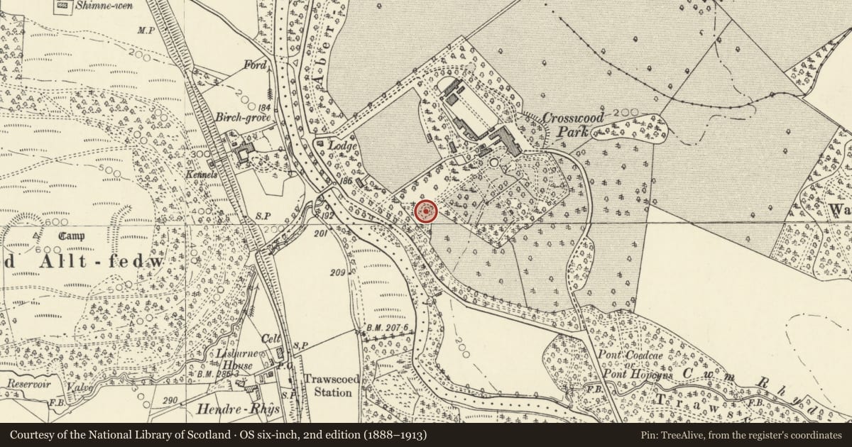 Ordnance Survey six-inch map, 2nd edition (1888–1913) covering the location of Garden seat at foot of avenue to SW of back lawn at Trawsgoed House, Ceredigion, with a pin at the register's coordinates