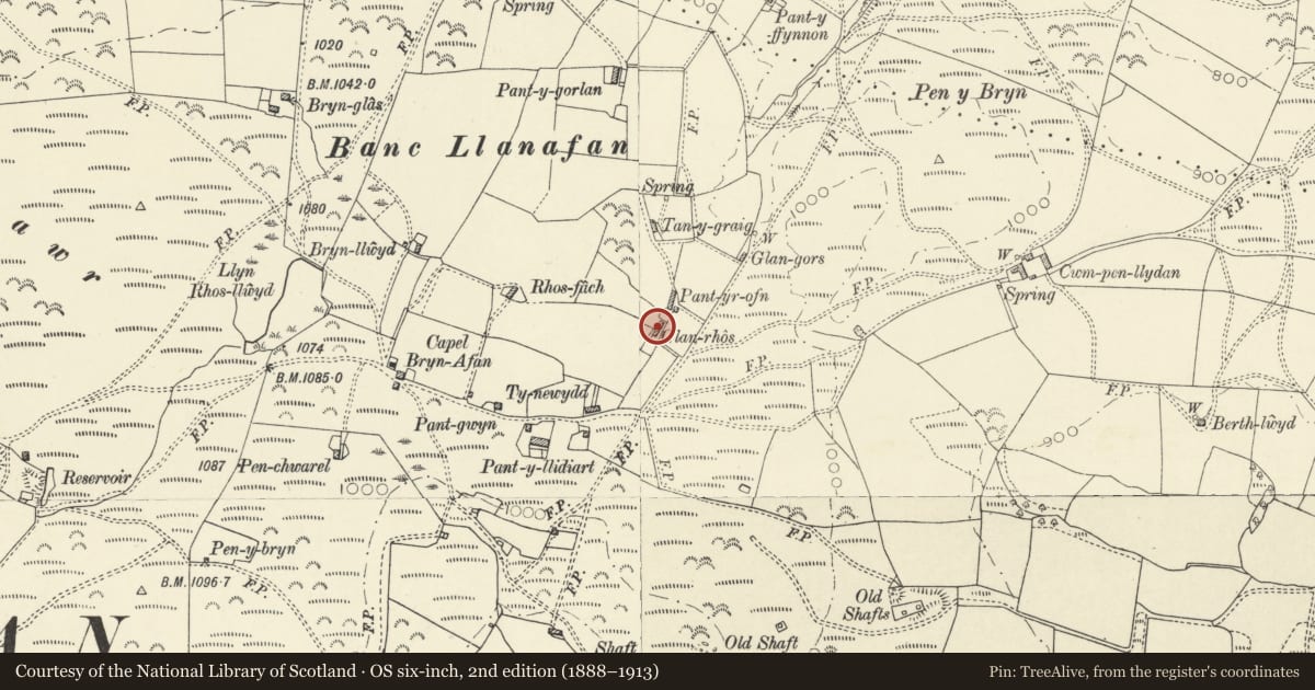Ordnance Survey six-inch map, 2nd edition (1888–1913) covering the location of Glanrhos, Trawsgoed, Ceredigion, with a pin at the register's coordinates