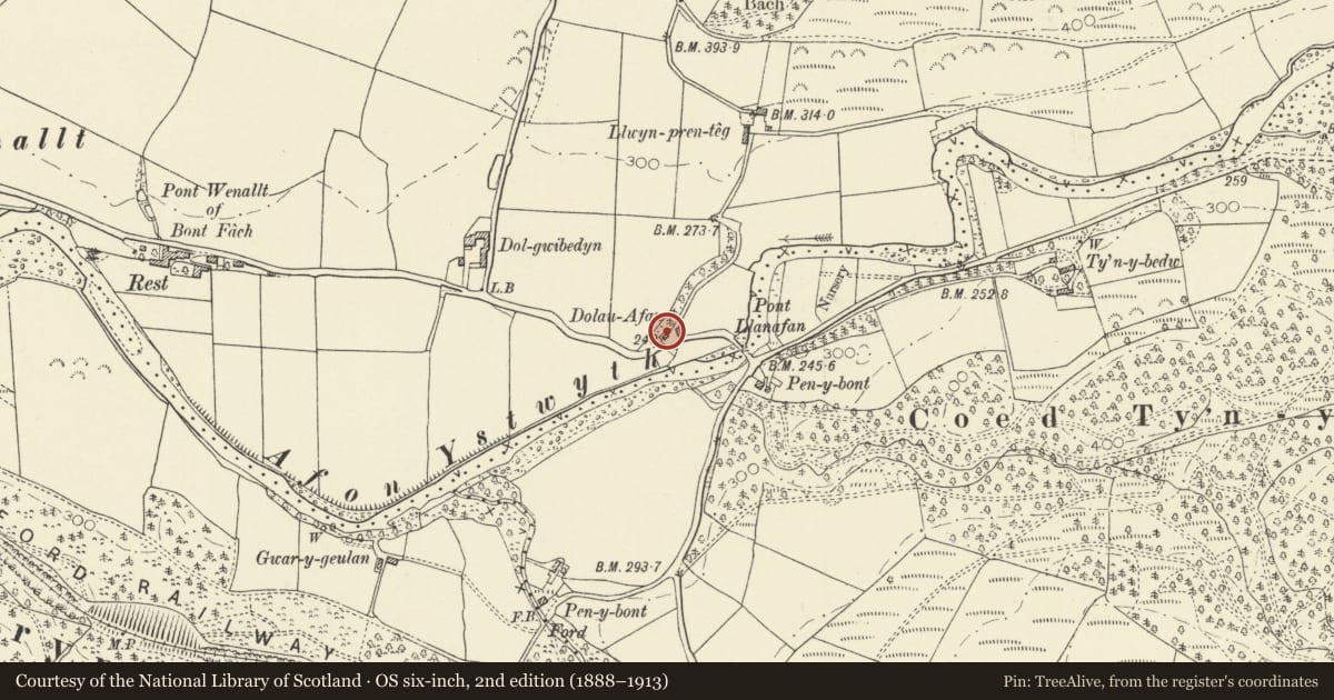 Ordnance Survey six-inch map, 2nd edition (1888–1913) covering the location of Holly Lodge, Trawsgoed, Ceredigion, with a pin at the register's coordinates