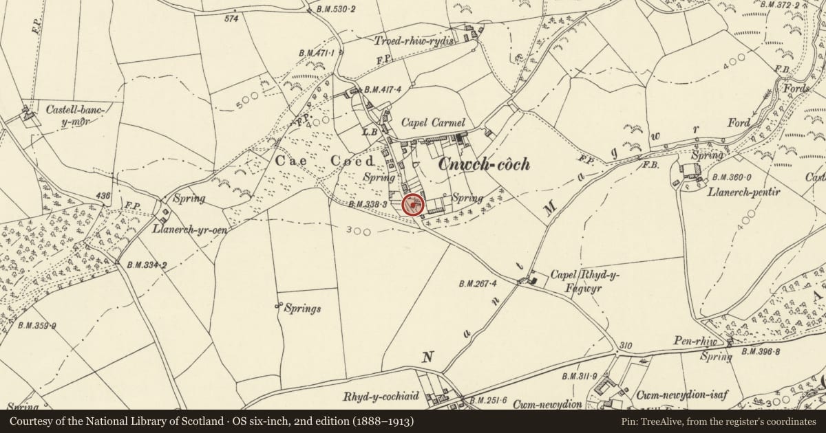 Ordnance Survey six-inch map, 2nd edition (1888–1913) covering the location of Llwyncelyn, Trawsgoed, Ceredigion, with a pin at the register's coordinates