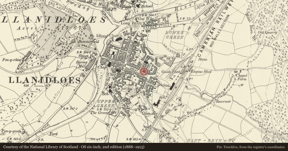 Ordnance Survey six-inch map, 2nd edition (1888–1913) covering the location of The Great Oak, Llanidloes, Powys, with a pin at the register's coordinates
