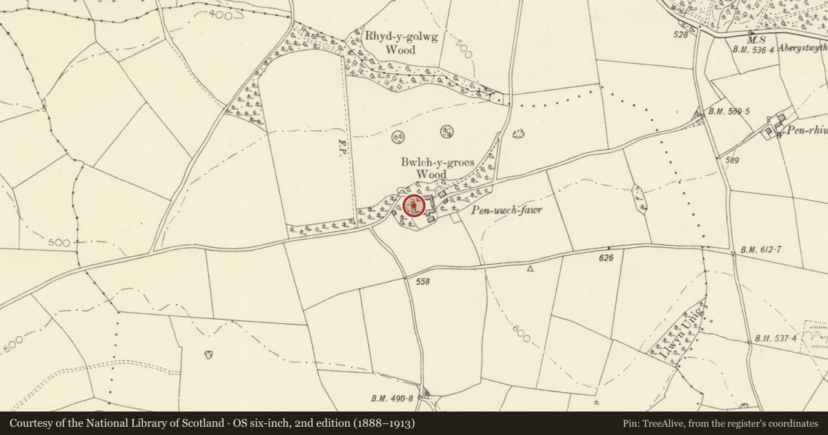 Ordnance Survey six-inch map, 2nd edition (1888–1913) covering the location of Open-bay outbuilding at Penuwch Fawr, Trawsgoed, Ceredigion, with a pin at the register's coordinates