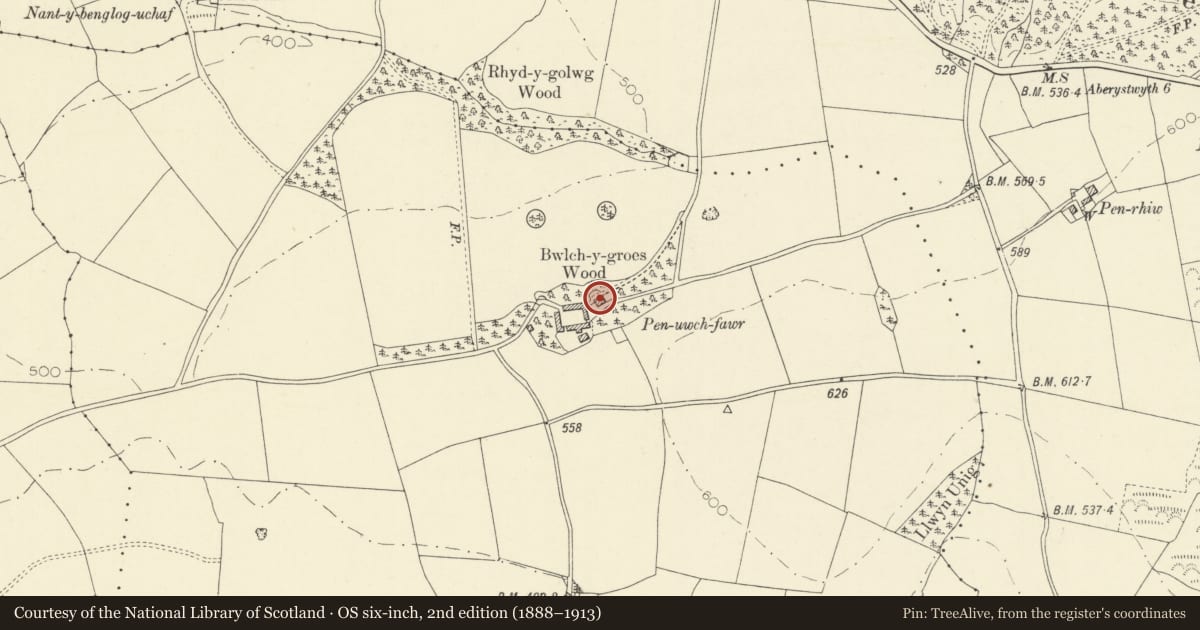 Ordnance Survey six-inch map, 2nd edition (1888–1913) covering the location of Penuwch Fawr, Trawsgoed, Ceredigion, with a pin at the register's coordinates