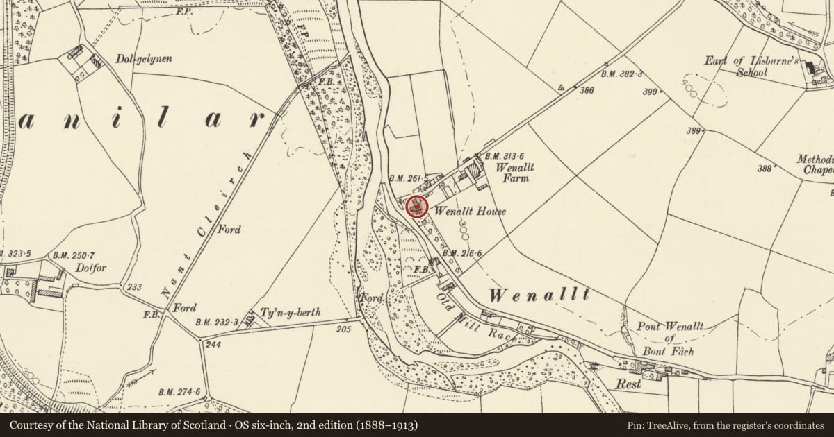 Ordnance Survey six-inch map, 2nd edition (1888–1913) covering the location of Plas y Wenallt, Trawsgoed, Ceredigion, with a pin at the register's coordinates