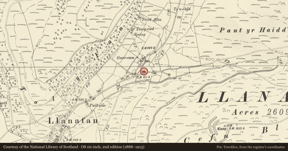 Ordnance Survey six-inch map, 2nd edition (1888–1913) covering the location of Rhydygarreg, Trawsgoed, Ceredigion, with a pin at the register's coordinates