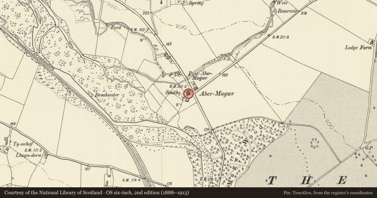 Ordnance Survey six-inch map, 2nd edition (1888–1913) covering the location of The Smithy House/Yr Hen Efail, Trawsgoed, Ceredigion, with a pin at the register's coordinates
