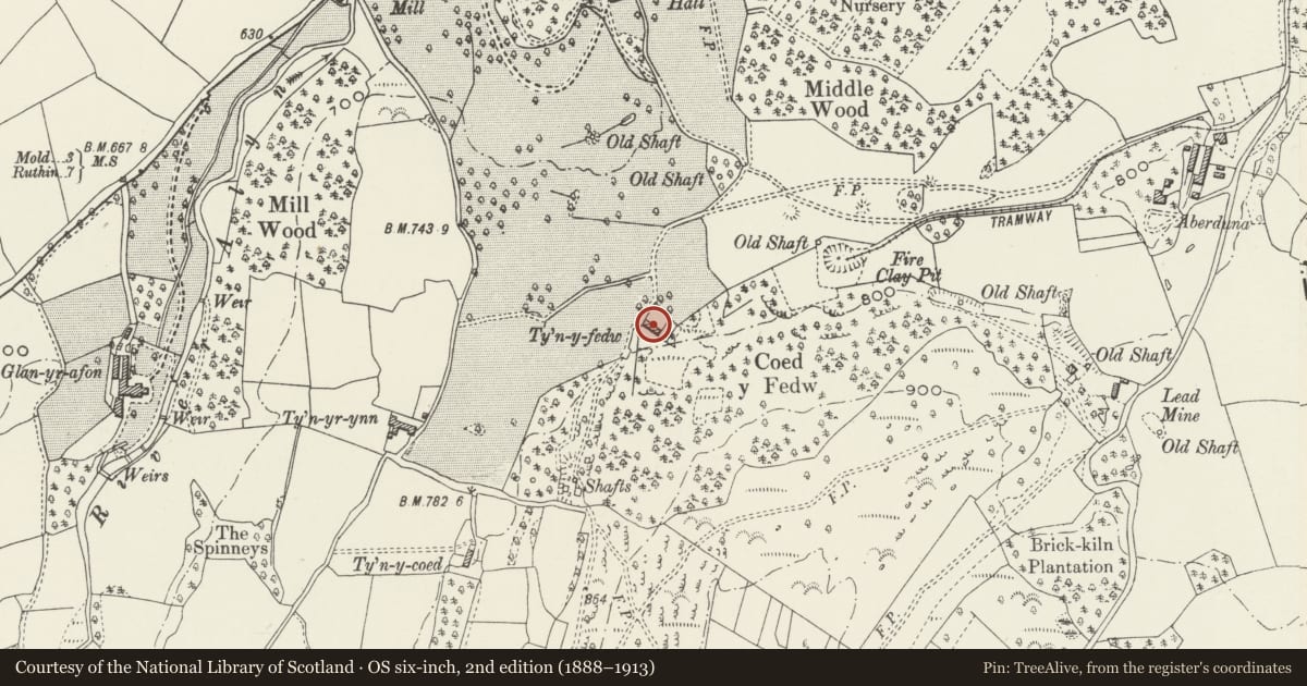 Ordnance Survey six-inch map, 2nd edition (1888–1913) covering the location of Ty'n y Fedw, Llanferres, Denbighshire, with a pin at the register's coordinates