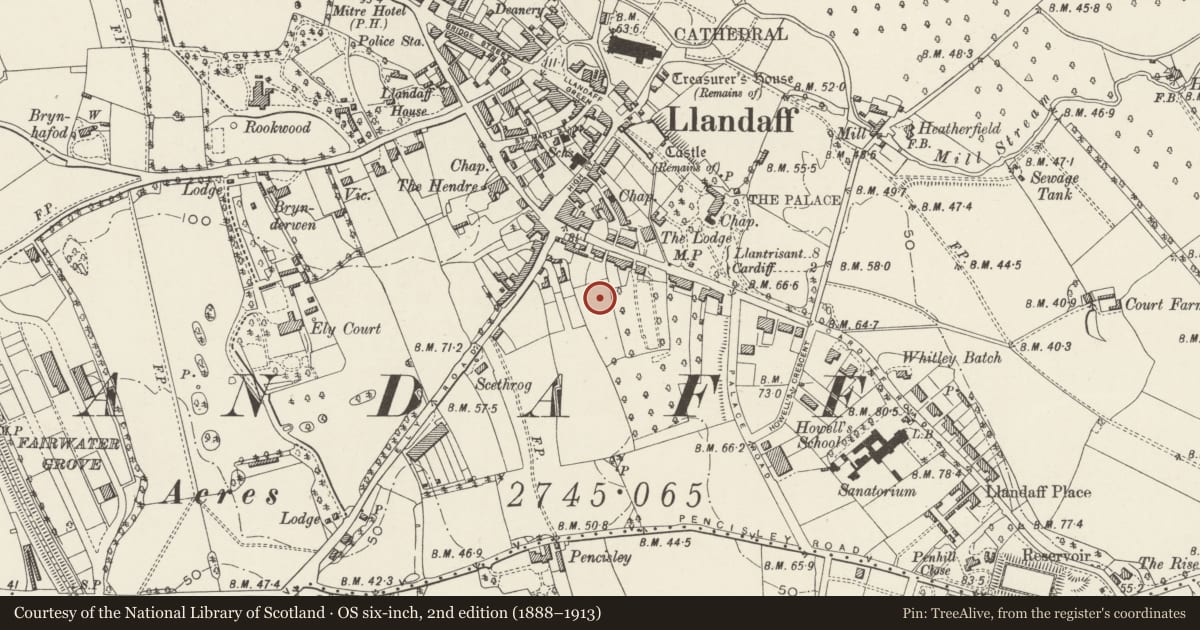 Ordnance Survey six-inch map, 2nd edition (1888–1913) covering the location of Chapel of St Michael’s College (St Padarn’s Institute), Llandaff, Cardiff, with a pin at the register's coordinates