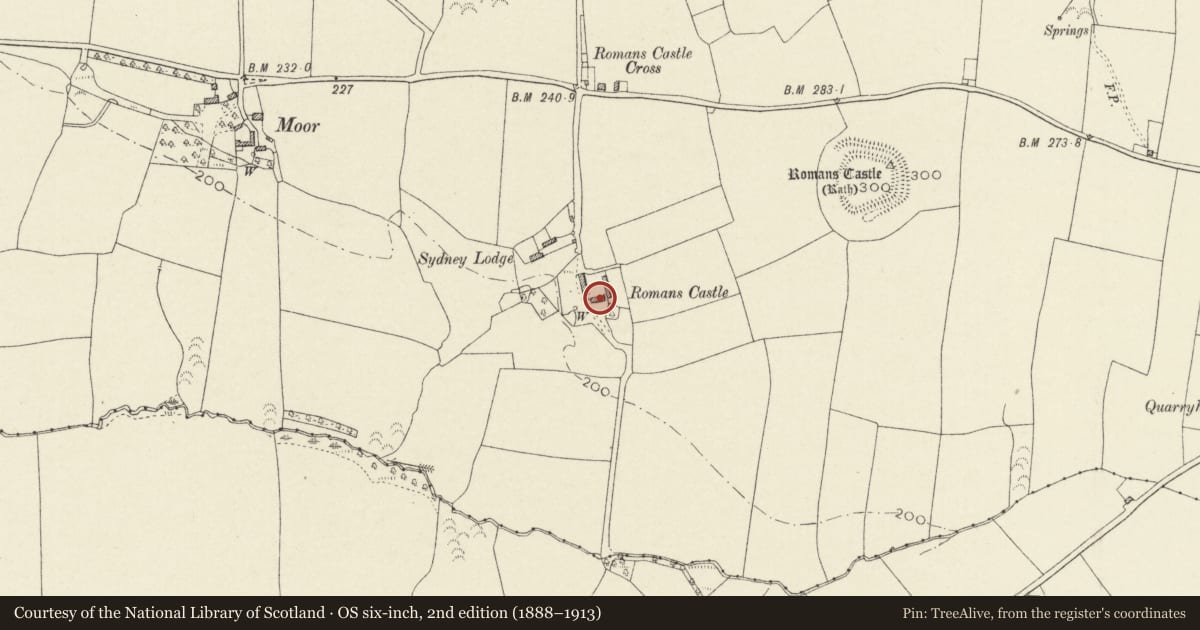 Ordnance Survey six-inch map, 2nd edition (1888–1913) covering the location of Romans Castle, Walwyn's Castle, Pembrokeshire, with a pin at the register's coordinates
