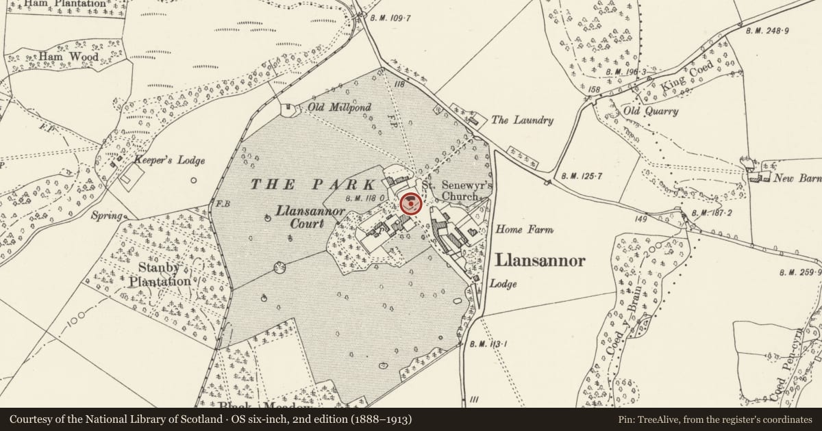 Ordnance Survey six-inch map, 2nd edition (1888–1913) covering the location of Cross in Churchyard of Church of St. Senwyr, Penllyn, Vale of Glamorgan, with a pin at the register's coordinates