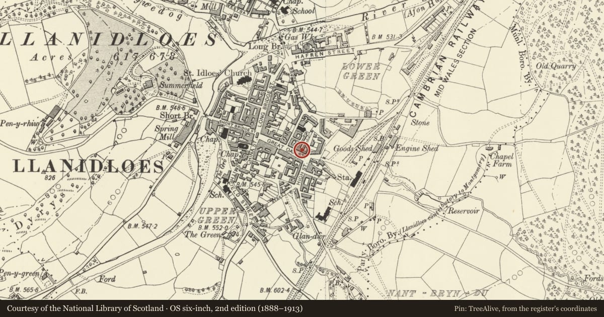 Ordnance Survey six-inch map, 2nd edition (1888–1913) covering the location of The Stag P.H., Llanidloes, Powys, with a pin at the register's coordinates