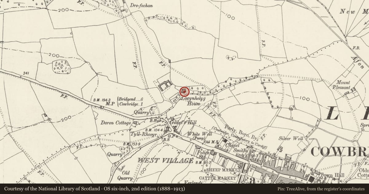 Ordnance Survey six-inch map, 2nd edition (1888–1913) covering the location of Llwynhelig House, Penllyn, Vale of Glamorgan, with a pin at the register's coordinates