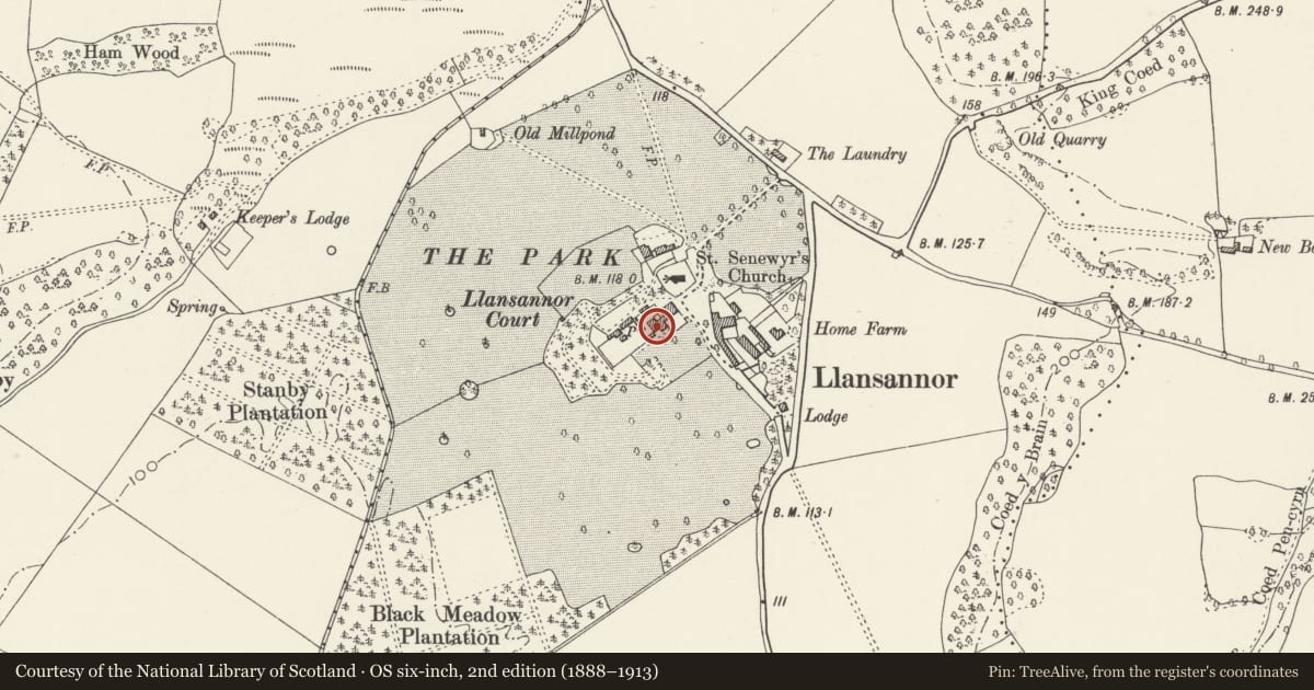 Ordnance Survey six-inch map, 2nd edition (1888–1913) covering the location of West Wing of Llansannor Court (aka Court Cottage), Penllyn, Vale of Glamorgan, with a pin at the register's coordinates